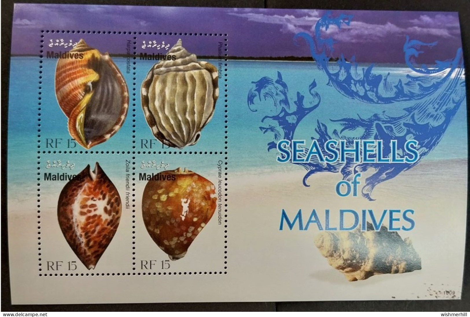 Coquillages Shells // Bloc Neuf ** MNH ; Maldives BF (2011) - Maldivas (1965-...)