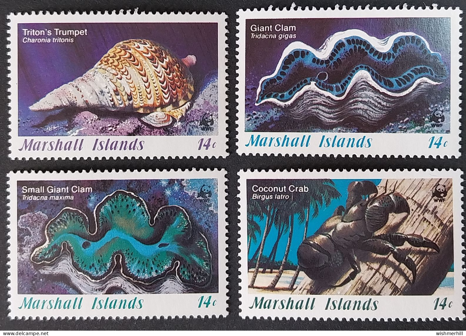 Coquillages Shells // Série Complète Neuve ** MNH ; Marshall YT 111/114 (1986) Cote 8 € - Marshall