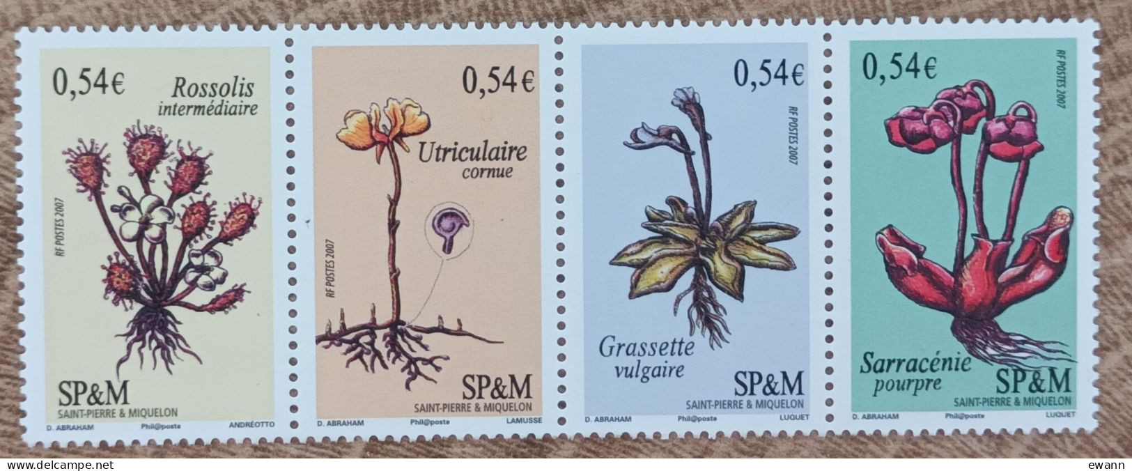 Saint Pierre Et Miquelon - YT N°900 à 903 - Flore / Plantes Vasculaires Carnivores - 2007 - Neuf - Neufs