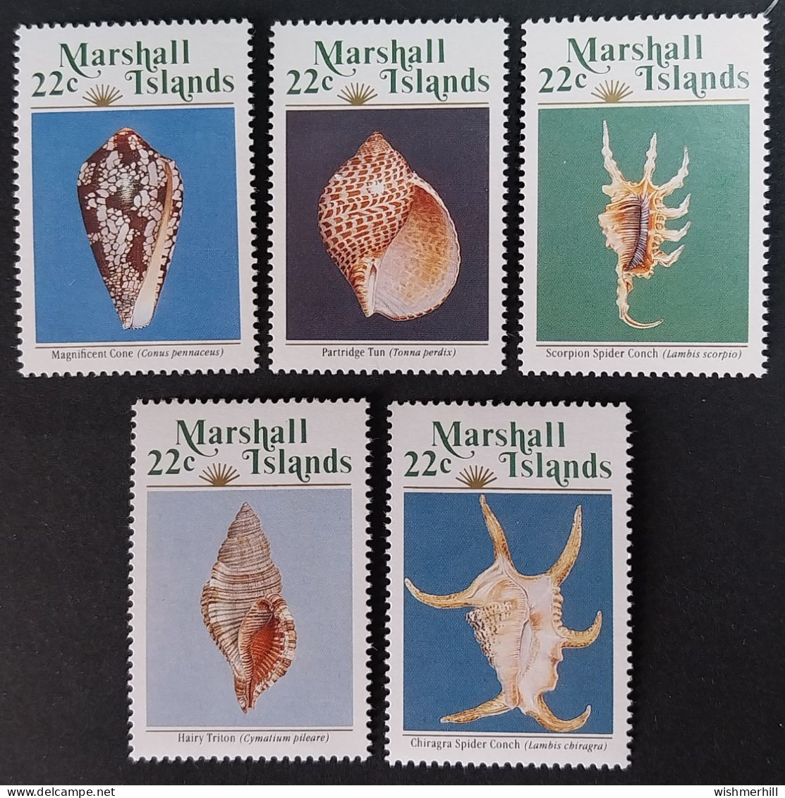 Coquillages Shells // Série Complète Neuve ** MNH ; Marshall YT 156/160 (1987) Cote 5 € - Marshallinseln