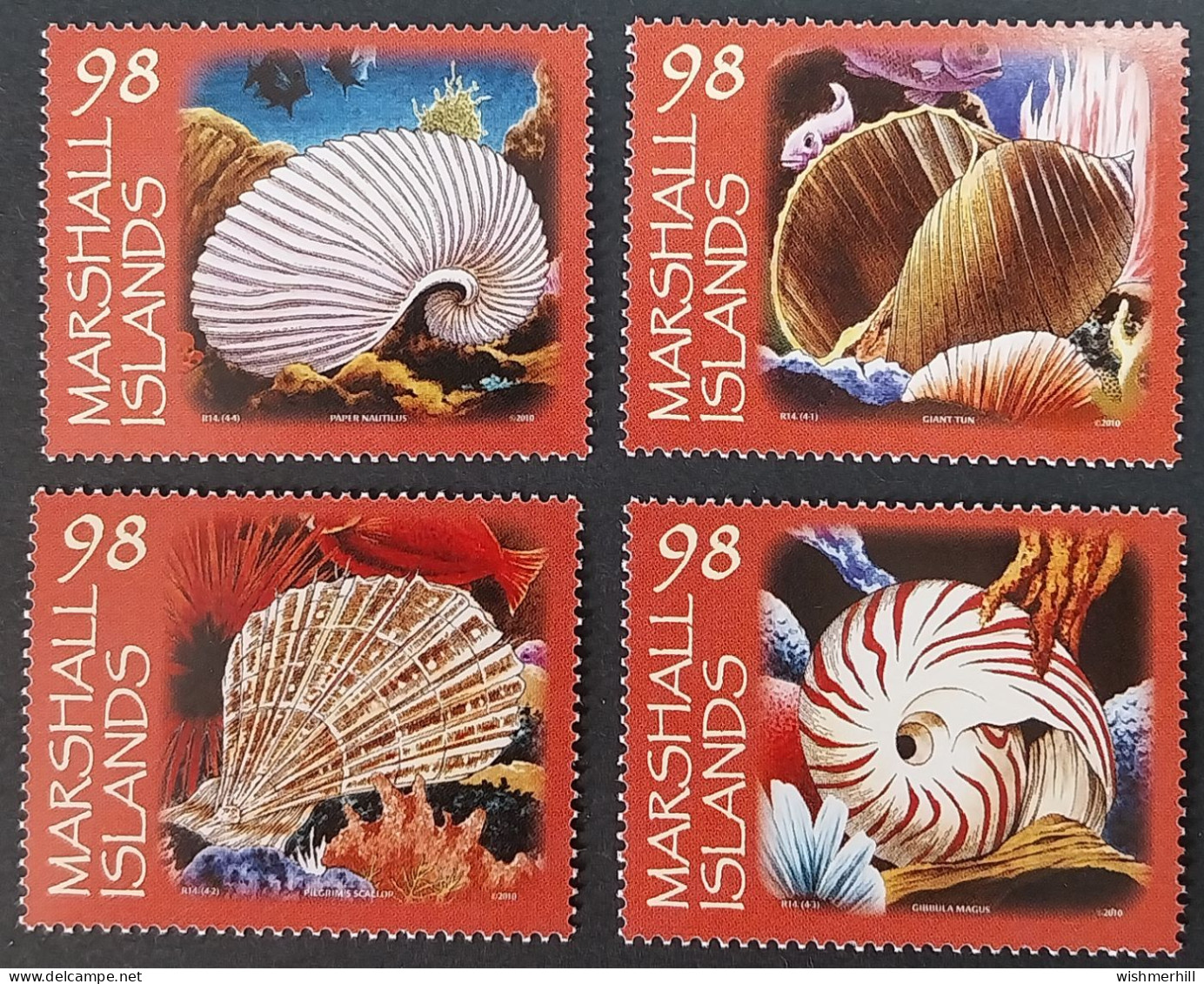 Coquillages Shells // Série Complète Neuve ** MNH ; Marshall YT 2484/2487 (2010) Cote 8 € - Marshallinseln