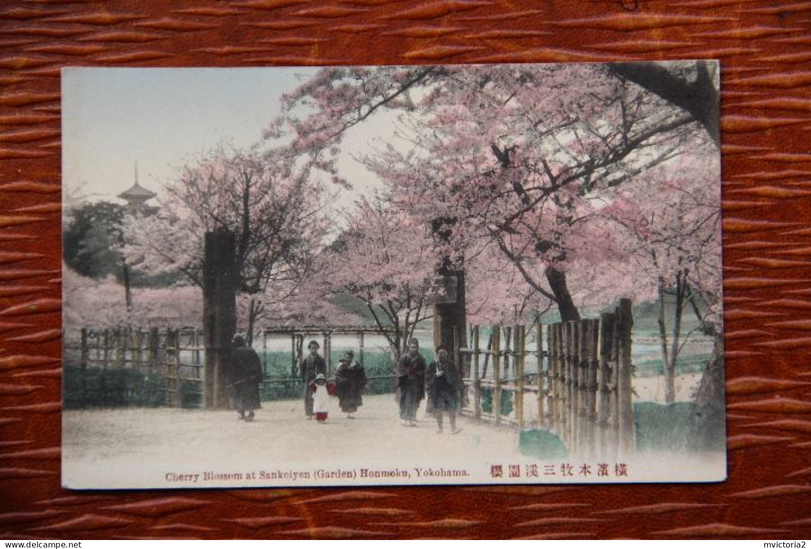 ASIE - JAPON : YOKOHAMA , Cherry Blossom, SANKEIYEN ( Garden) HONMOKU - Yokohama