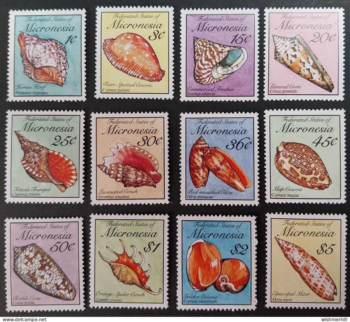 Coquillages Shells // Série Complète Neuve ** MNH ; Micronésie YT 101/112 (1989) Cote 30 € - Micronésie