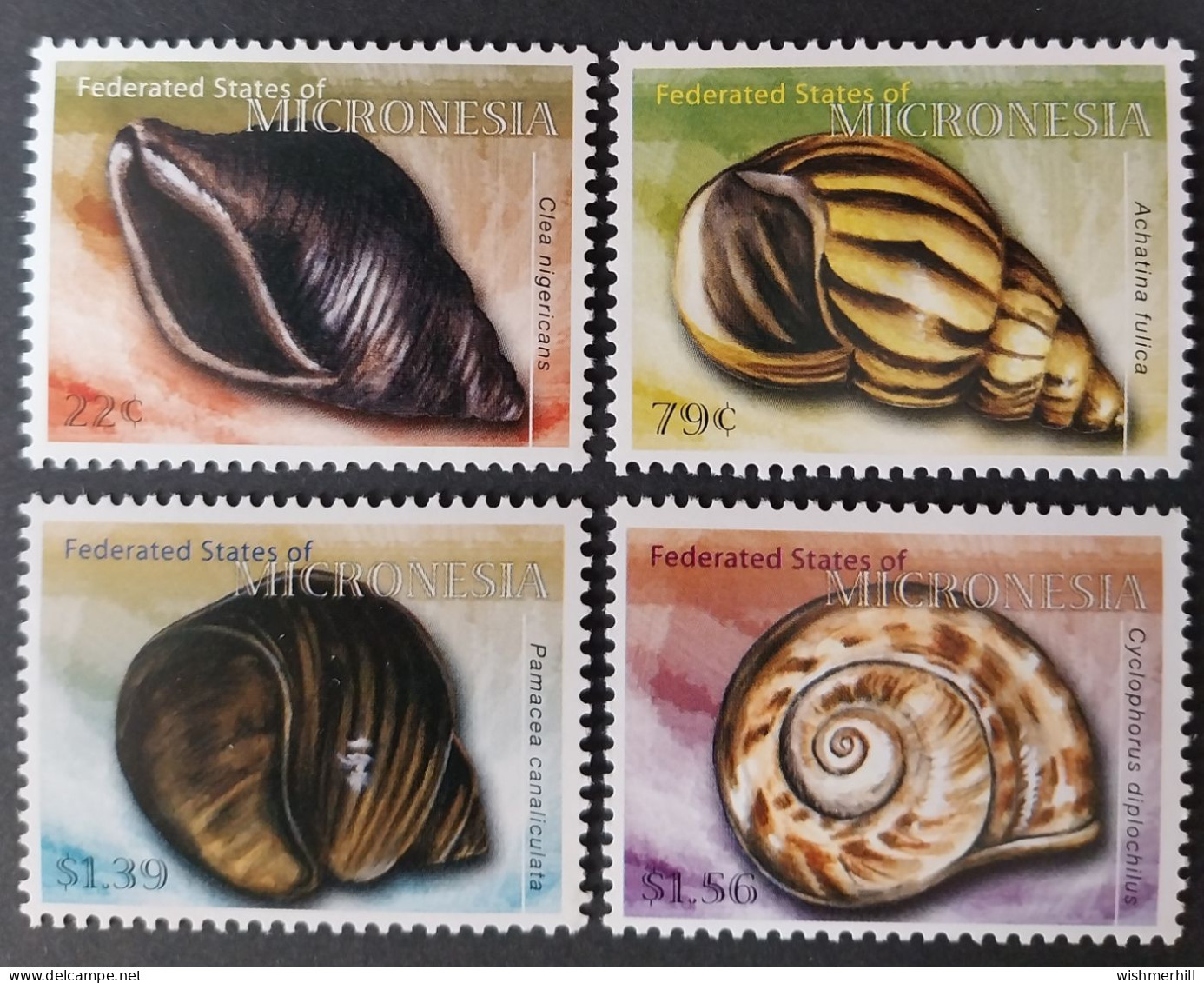 Coquillages Shells // Série Complète Neuve ** MNH ; Micronésie YT 1690/1693 (2009) Cote 11 € - Mikronesien