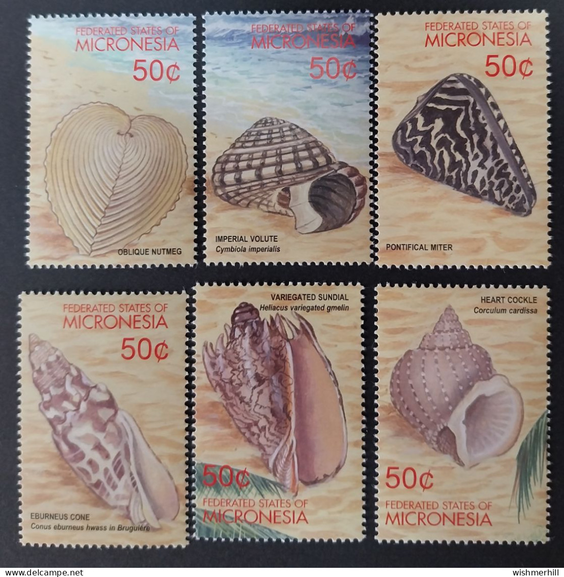 Coquillages Shells // Série Complète Neuve ** MNH ; Micronésie YT 1056/1061 (2001) Cote 13.50 € - Mikronesien