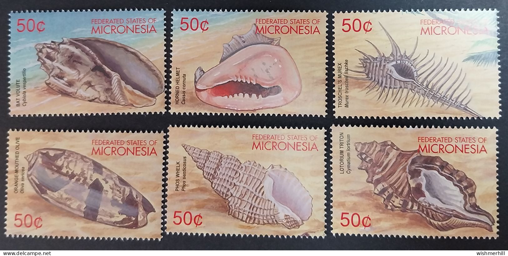 Coquillages Shells // Série Complète Neuve ** MNH ; Micronésie YT 1100/105 (2001) Cote 13.50 € - Micronésie