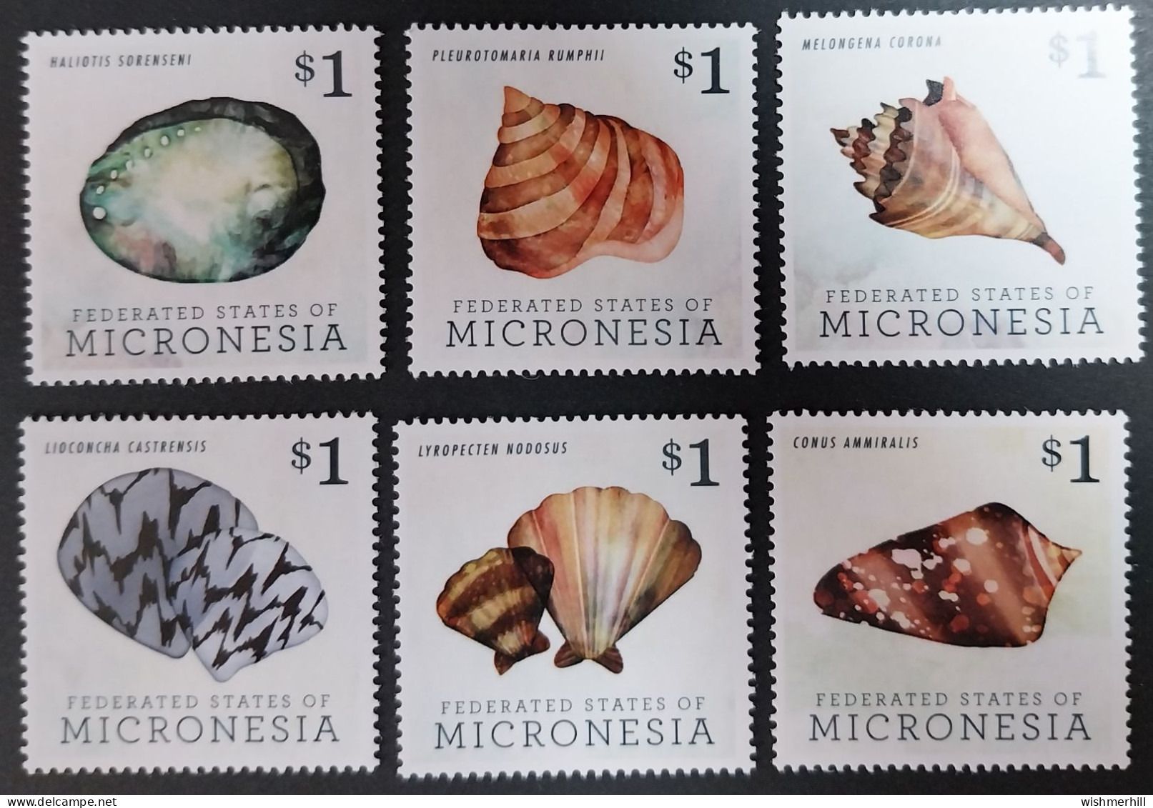 Coquillages Shells // Série Complète Neuve ** MNH ; Micronésie YT 2053/2058 (2013) Cote 21 € - Mikronesien