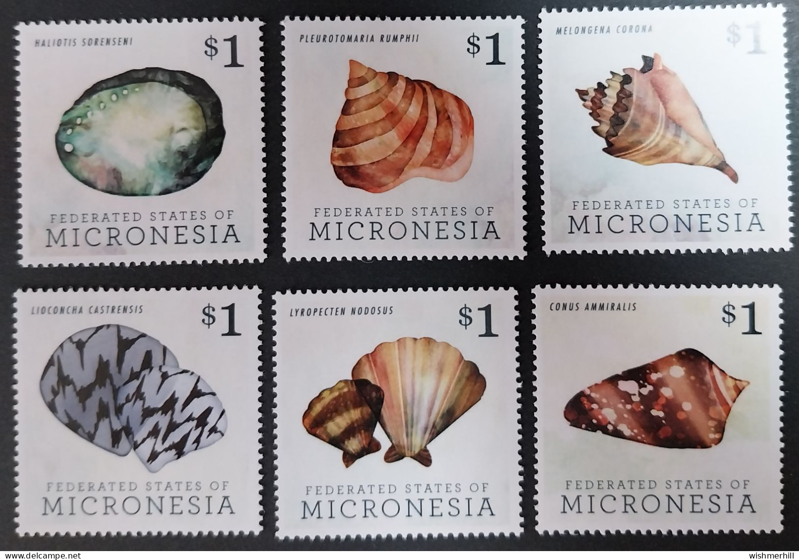 Coquillages Shells // Série Complète Neuve ** MNH ; Micronésie YT 2053/2058 (2013) Cote 21 € - Micronesia