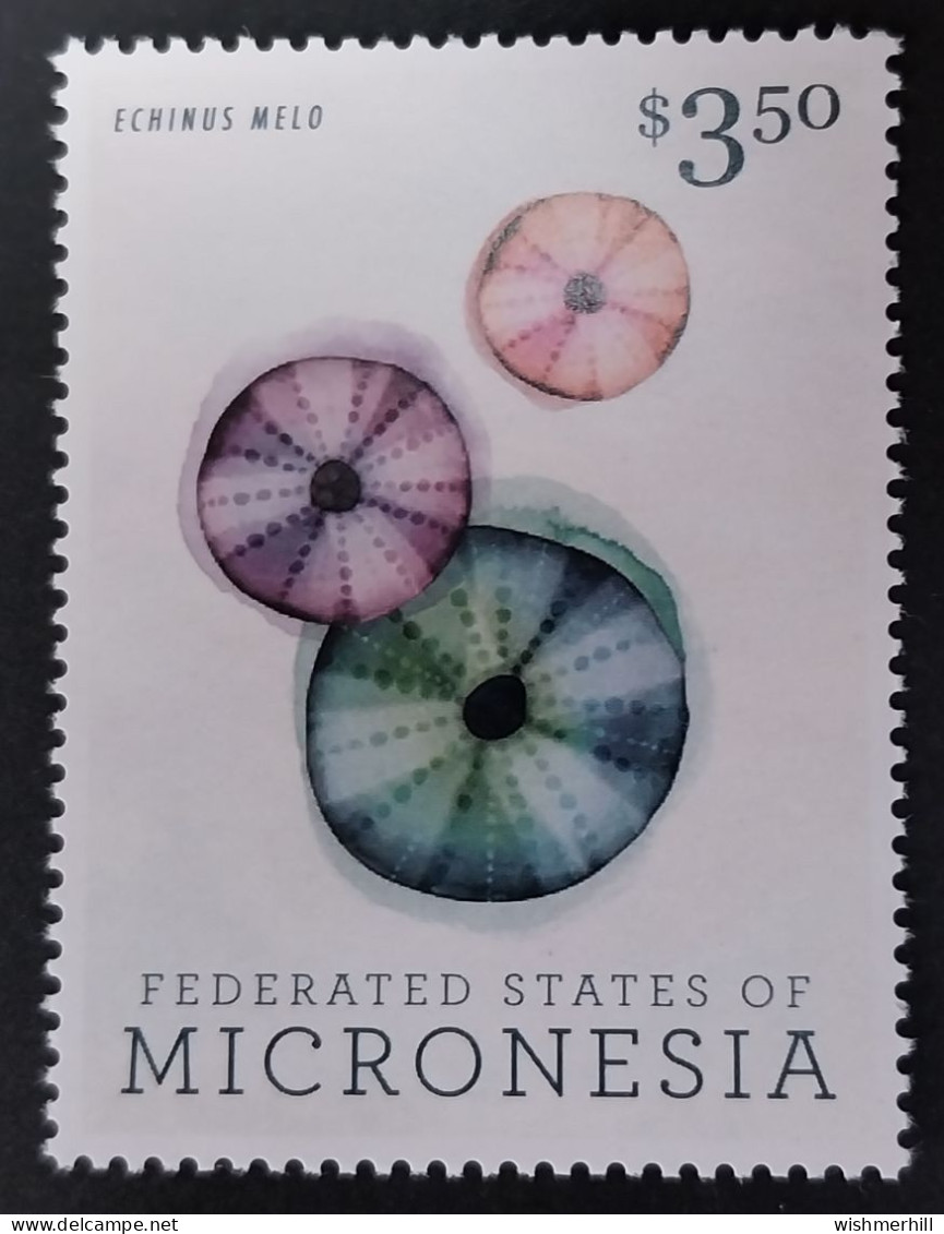 Coquillages Shells // Neuve ** MNH ; Micronésie Timbre Issu Du Bloc BF 236 (2013) Cote 12 € - Micronésie