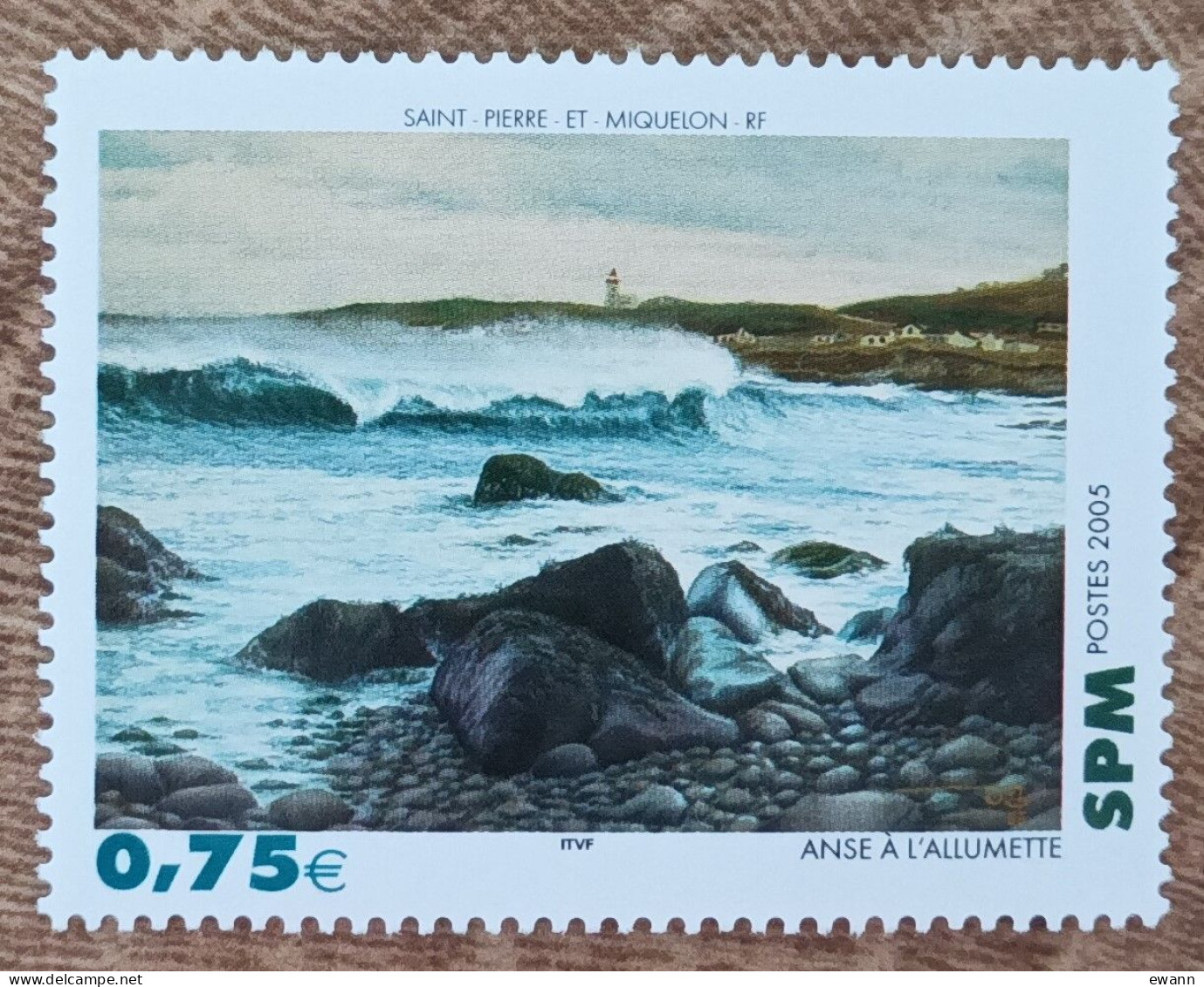 Saint Pierre Et Miquelon - YT N°841 - Anse à L'Allumette - 2005 - Neuf - Unused Stamps