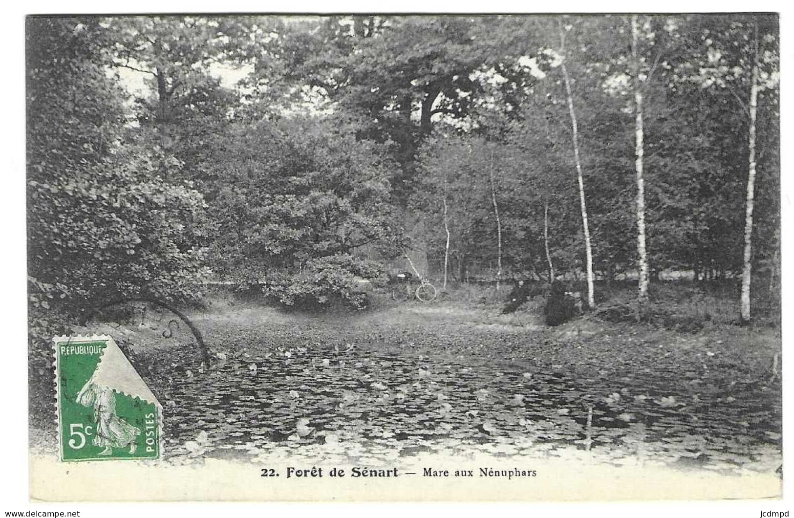 Foret De Sénart Mareaux Nénuphares - Sénart