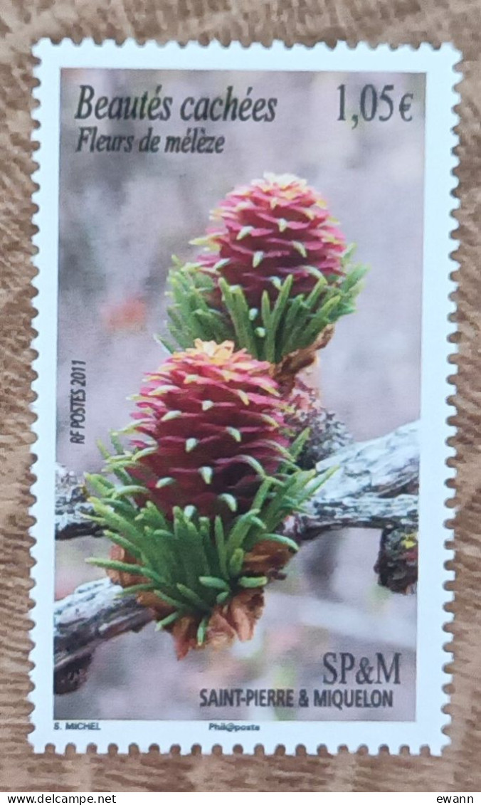 Saint Pierre Et Miquelon - YT N°994 - Beautés Cachées / Flore / Fleurs De Mélèze - 2011 - Neuf - Unused Stamps