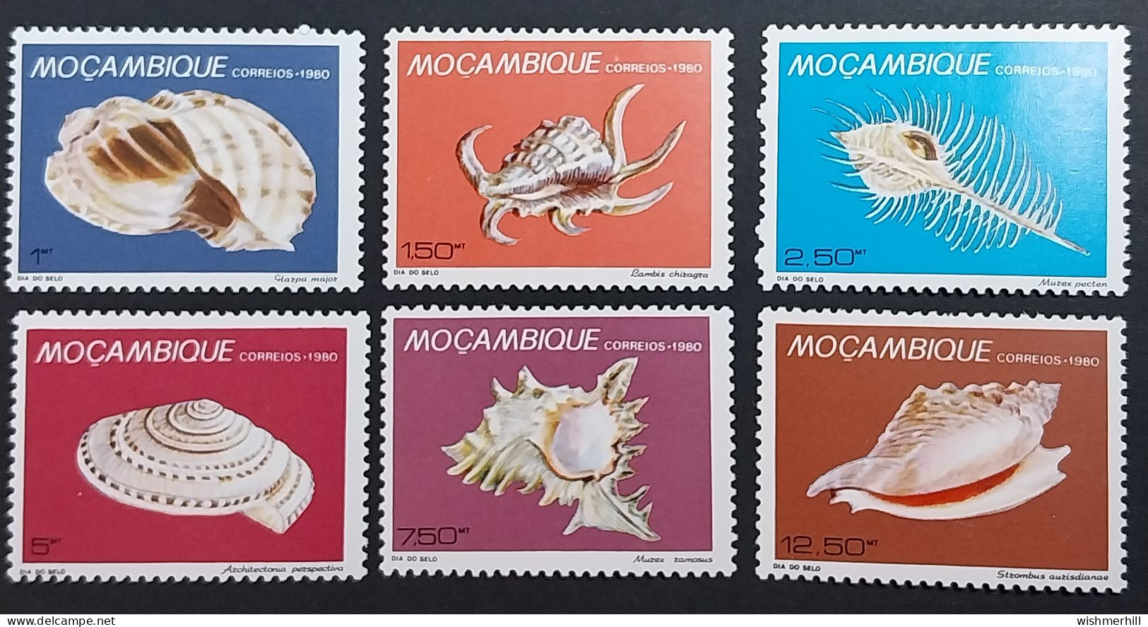 Coquillages Shells // Série Complète Neuve ** MNH ; Mozambique YT 773/778 (1980) Cote 6 € - Mozambique
