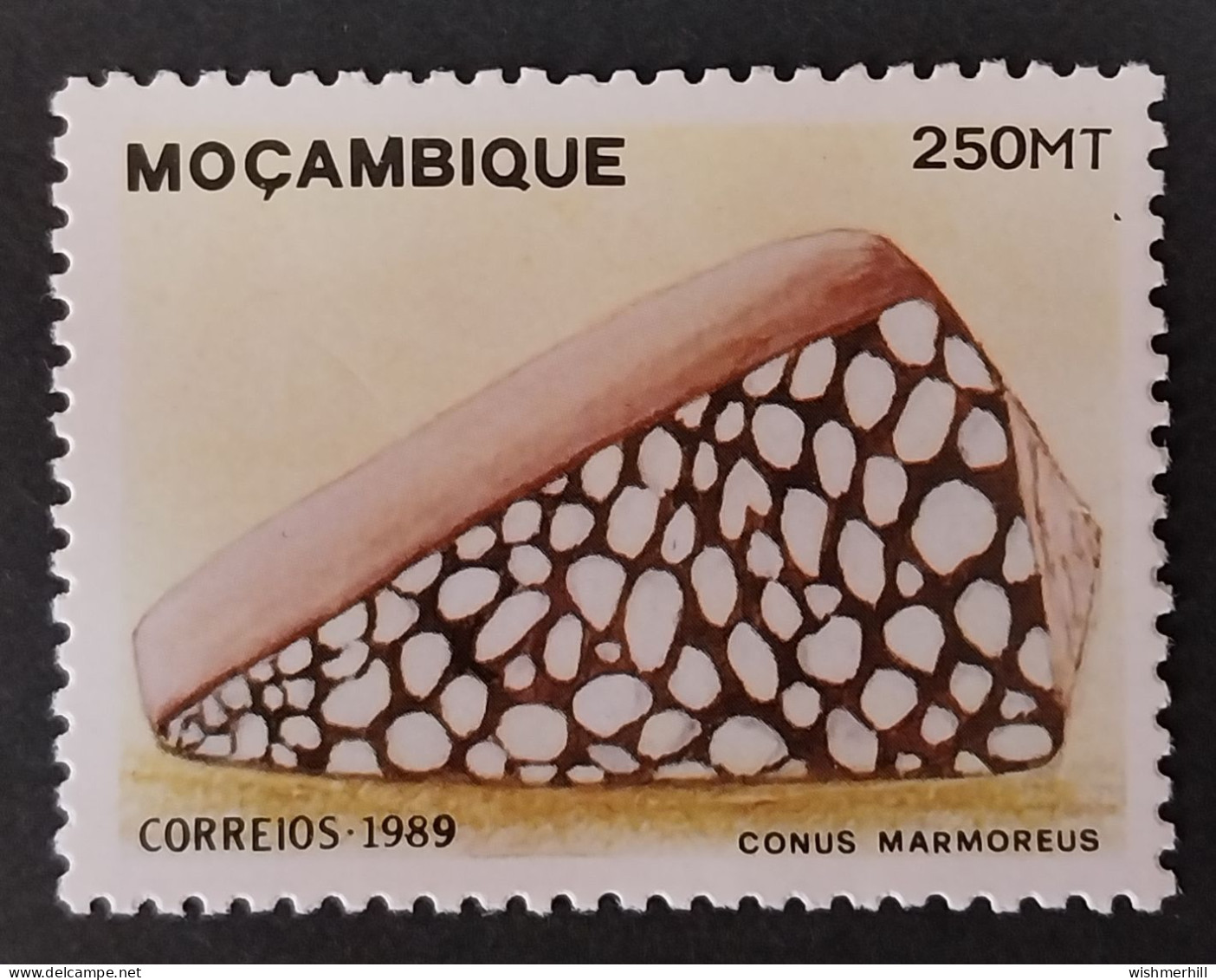 Coquillages Shells // Neuve ** MNH ; Mozambique YT 1121 (1989) Cote 2.50 € - Mozambique