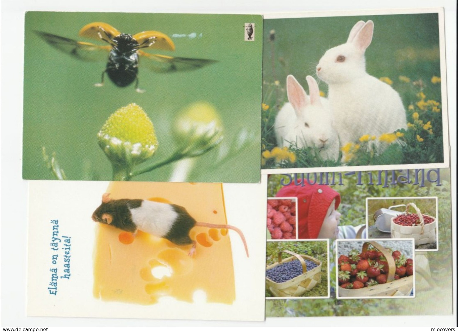 4 Diff FINLAND Postcards To GB Fruit Rabbit Mouse Insect Postcard Flower Tree Stamps Cover - Lettres & Documents