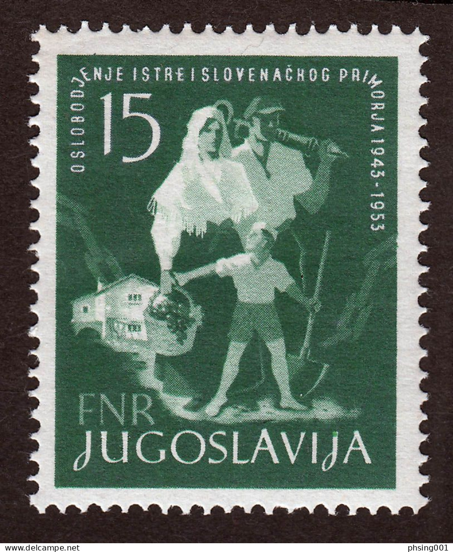 Yugoslavia 1953 Istra 10 Years Anniversary Liberation Of Istria And Slovenian Coast Italy Grape MNH - Nuovi