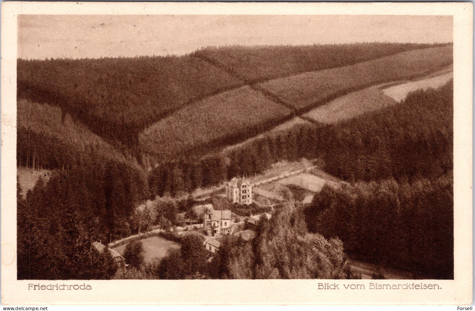 Friedrichroda , Blick Vom Bismarckfelsen (Schöner Bahnpost Stempel: Gotha-Grafenroda 1920 , Nach Schweden) - Friedrichroda