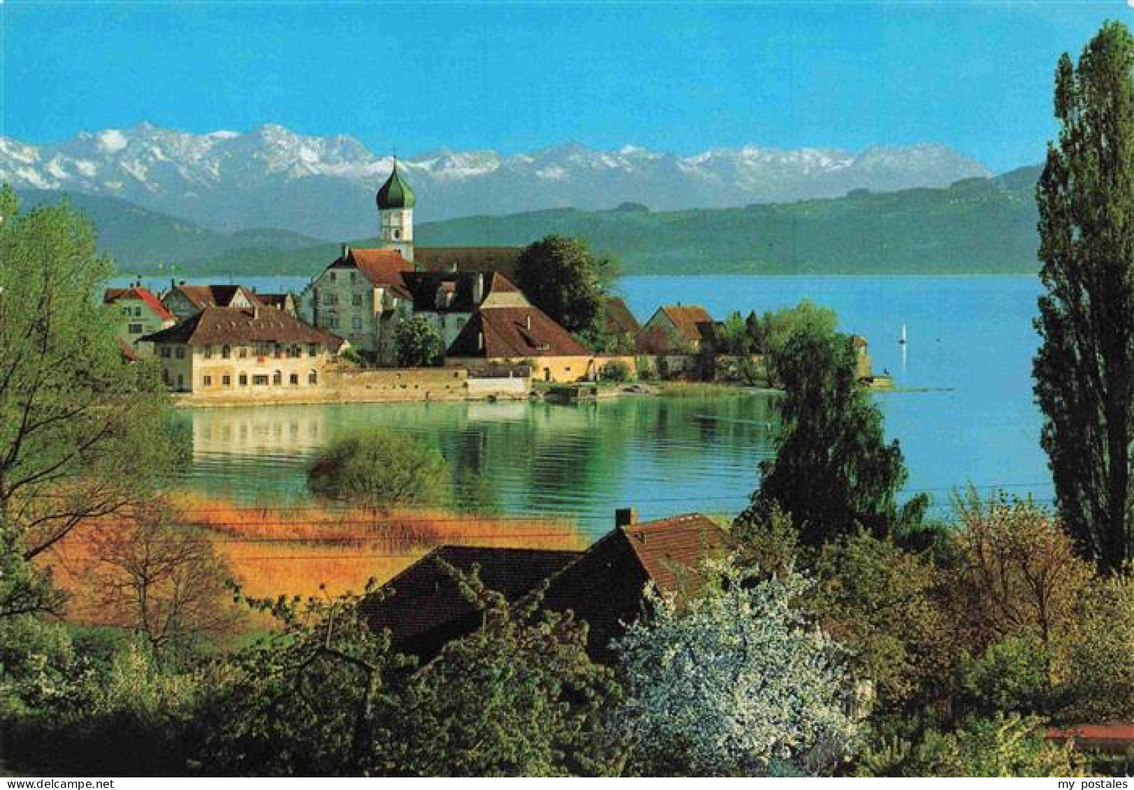 73961749 Wasserburg_Bodensee Panorama Halbinsel Alpenkette - Wasserburg (Bodensee)