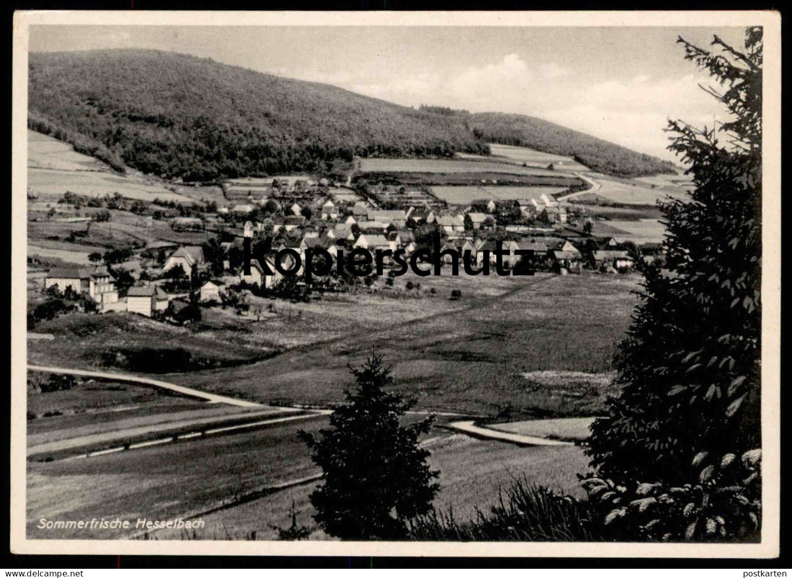 ALTE POSTKARTE SOMMERFRISCHE HESSELBACH PANORAMA WITTGENSTEIN BAD LAASPHE Ansichtskarte AK Cpa Postcard - Bad Laasphe