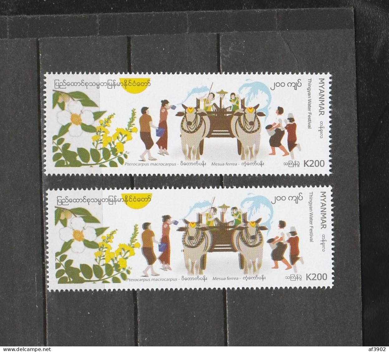 BURMA/MYANMAR STAMP ERROR 2019 ISSUED THINGYAN FLOWER 200K  SINGLE, MNH - Myanmar (Birmanie 1948-...)