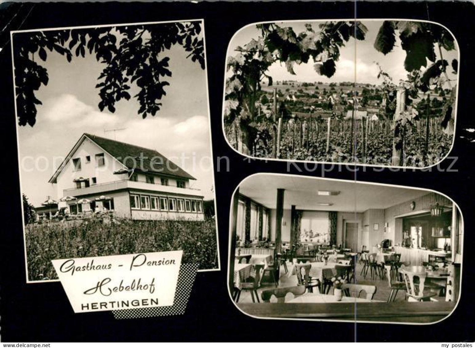 73105032 Hertingen Bad Bellingen Gasthaus Pension Hebelhof Hertingen - Bad Bellingen