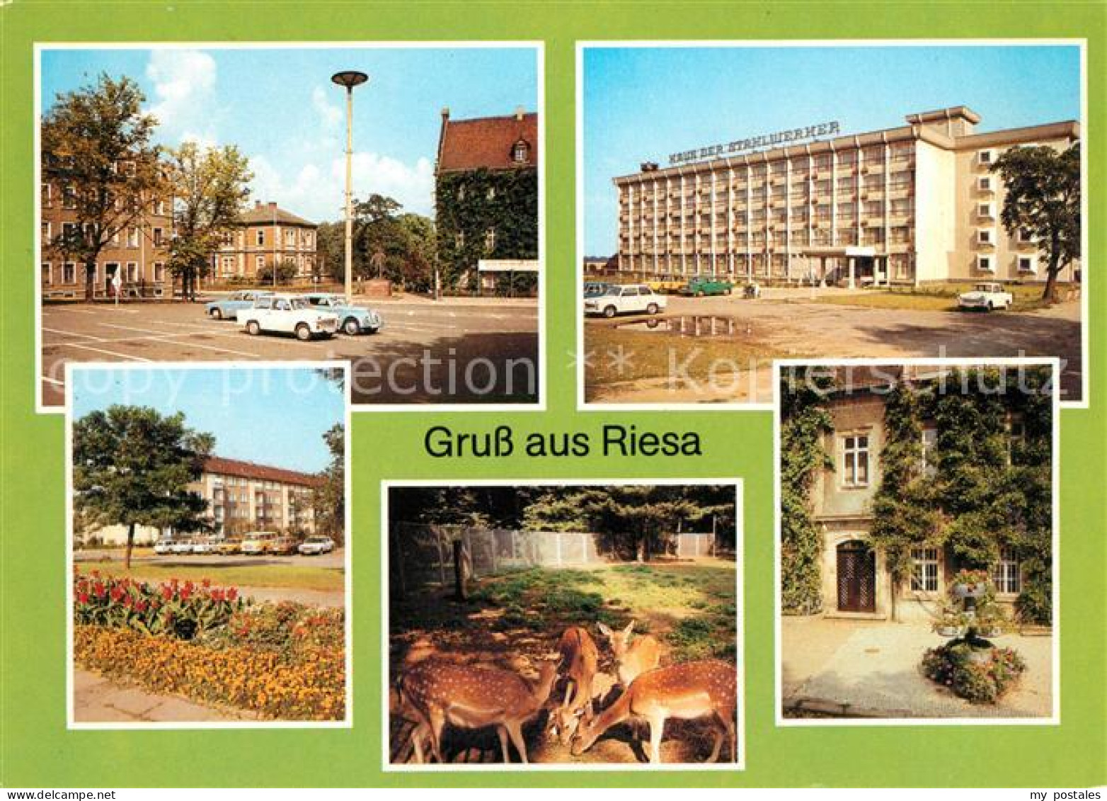 73103554 Riesa Sachsen Rathaus Tierpark Leninplatz Riesa Sachsen - Riesa