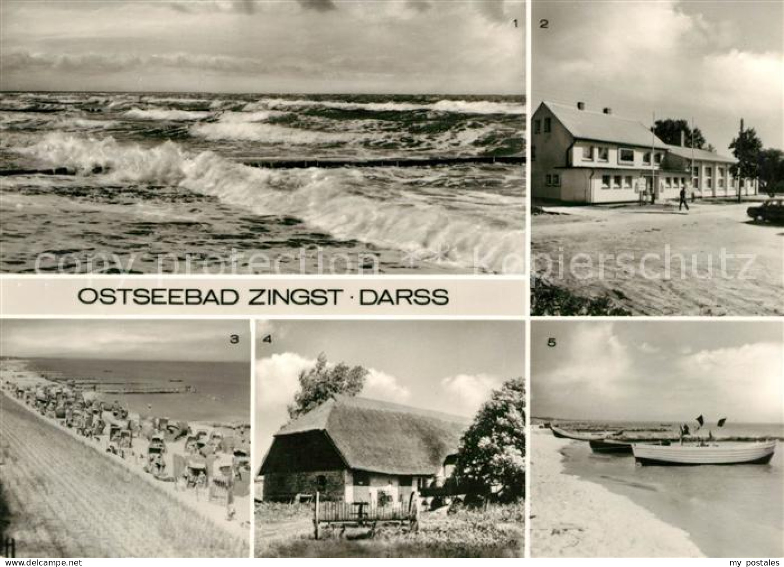 73102021 Zingst Ostseebad Ostseewellen FDGB Erholungsheim Stranddistel Schilfged - Zingst