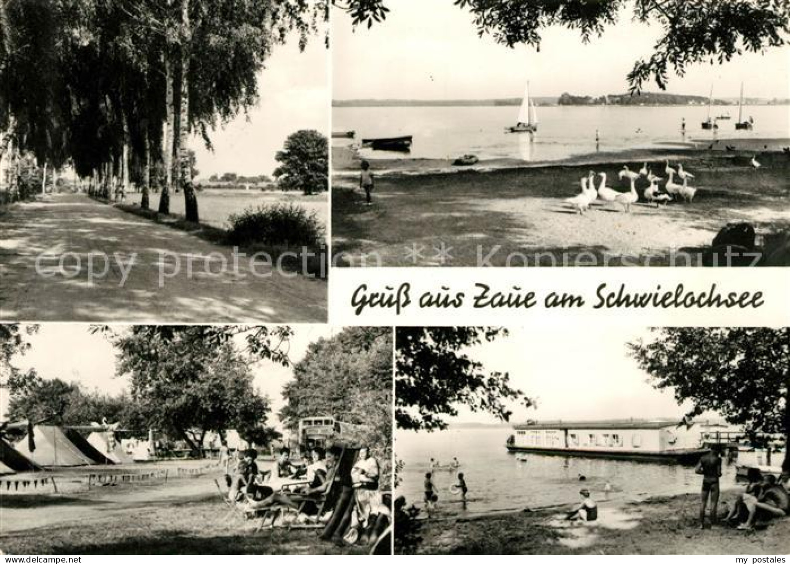 73099292 Zaue Hafen Campingplatz Strand Zaue - Goyatz