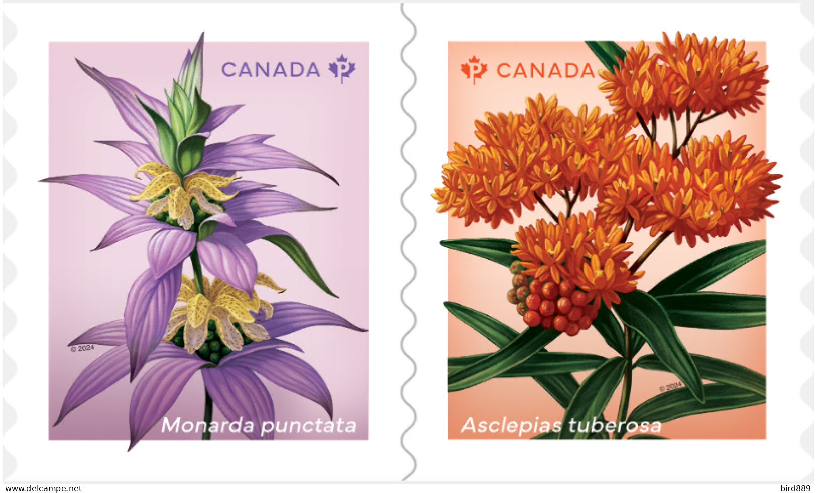 2024 Canada Flower Wildflowers Set Of 2  From Roll MNH - Neufs