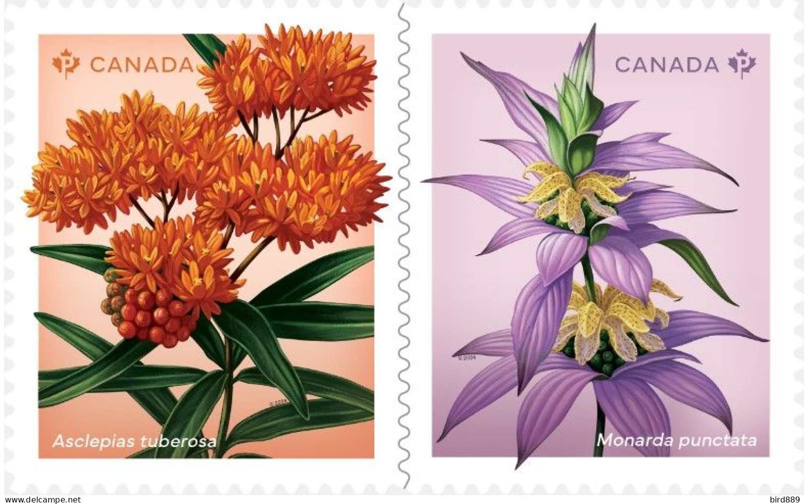 2024 Canada Flower Wildflowers Set Of 2 From Booklet MNH - Francobolli (singoli)