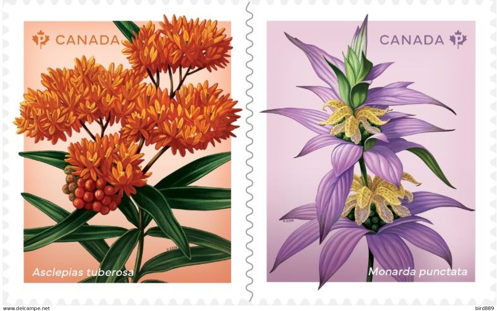 2024 Canada Flower Wildflowers Set Of 2 From Booklet MNH - Sellos (solo)