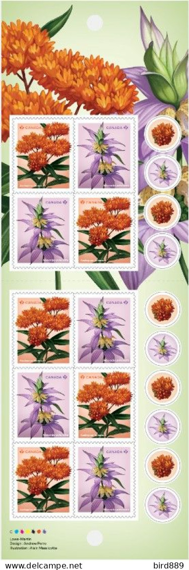 2024 Canada Flower Wildflowers Full Booklet Of 10 MNH - Ganze Markenheftchen