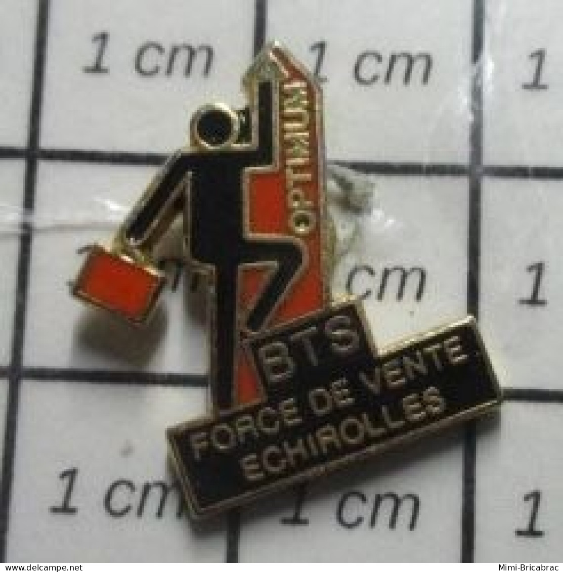 713H Pin's Pins / Beau Et Rare / ADMINISTRATIONS /  BTS FORCE DE VENTE ECHIROLLES - Administration