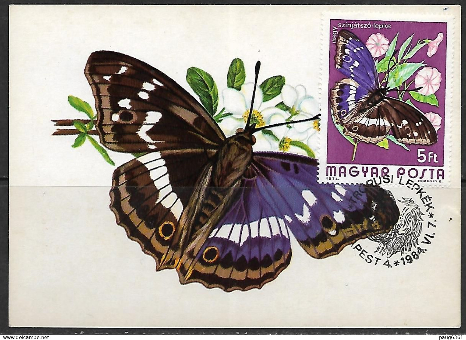 HONGRIE 1984 CARTE MAXIMUM PAPILLONS  YVERT  N°2399 - Papillons