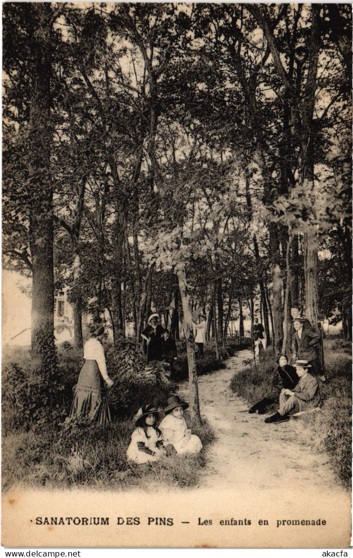 CPA Lamotte-Beuvron Sanatorium Des Pins (1390023) - Lamotte Beuvron