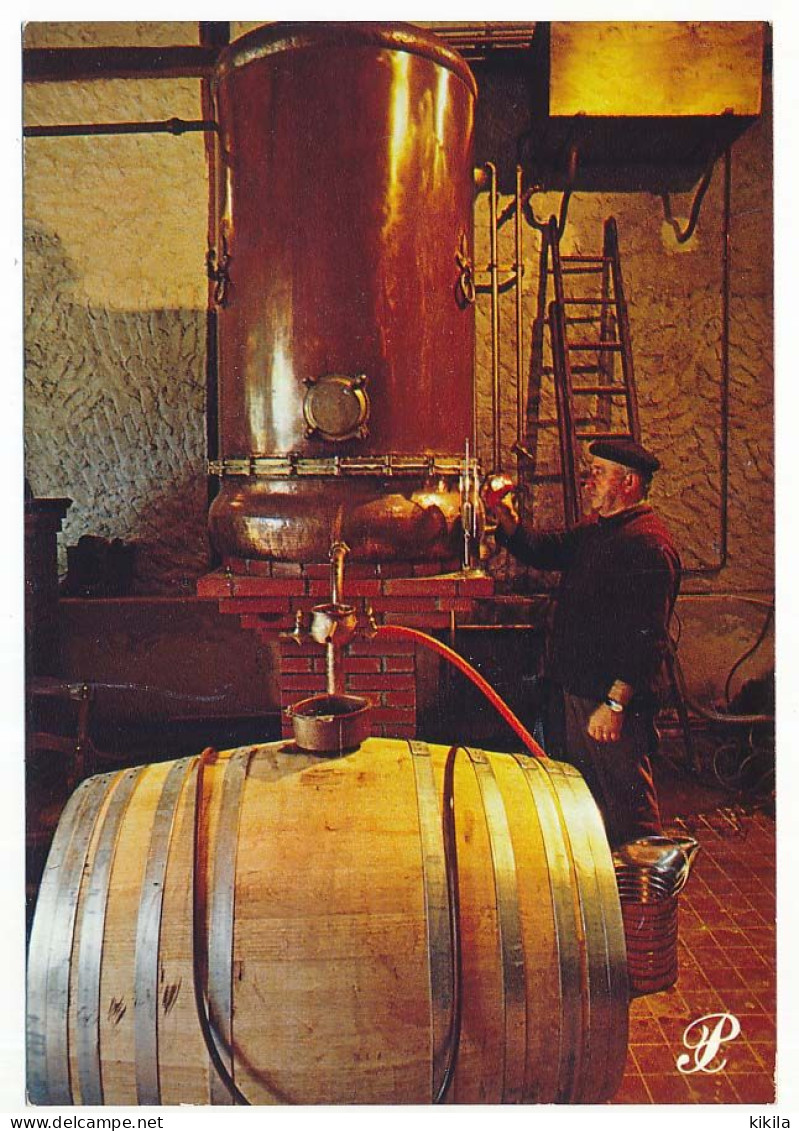 CPSM / CPM 10.5 X 15 Prestige Reflets De GASCOGNE La Distillation De L'Armagnac  Alambic - Aquitaine