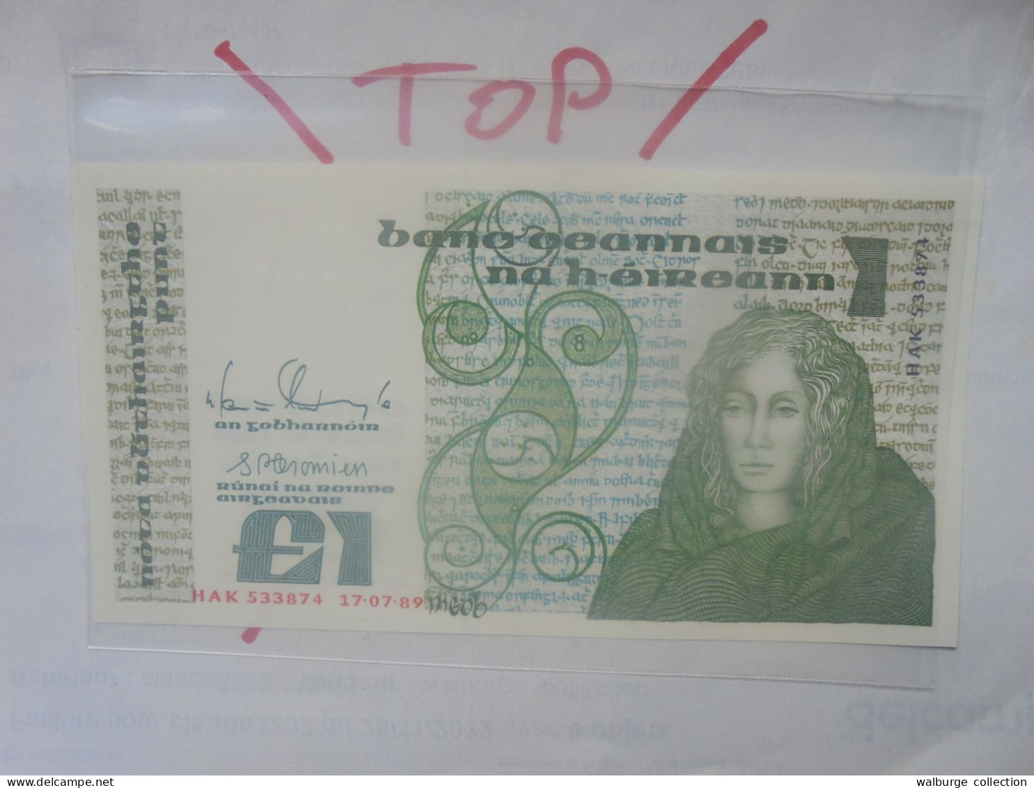 IRLANDE 1 POUND 1988-89 Signature "D" Neuf (B.33) - Ierland