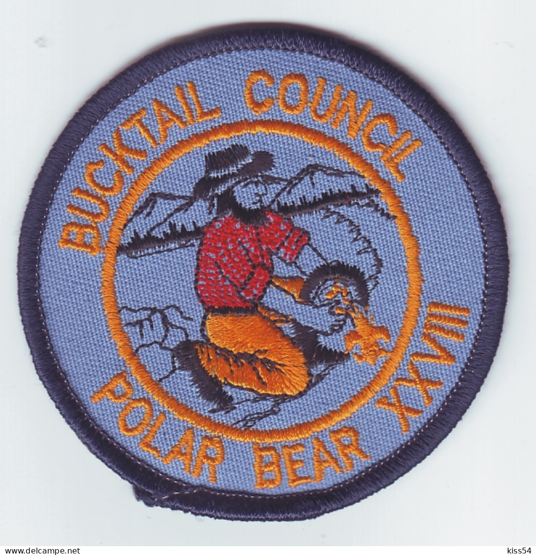 B 18 - 5 USA Scout Badge - Bucktail Council - Scouting