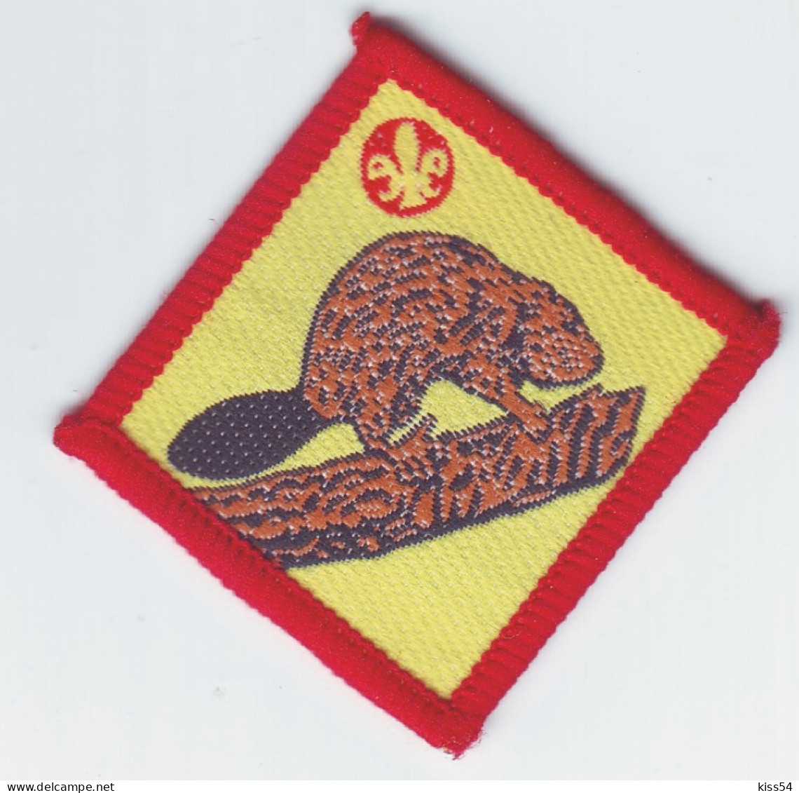 B 18 - 80 Scout Badge  - Scoutisme