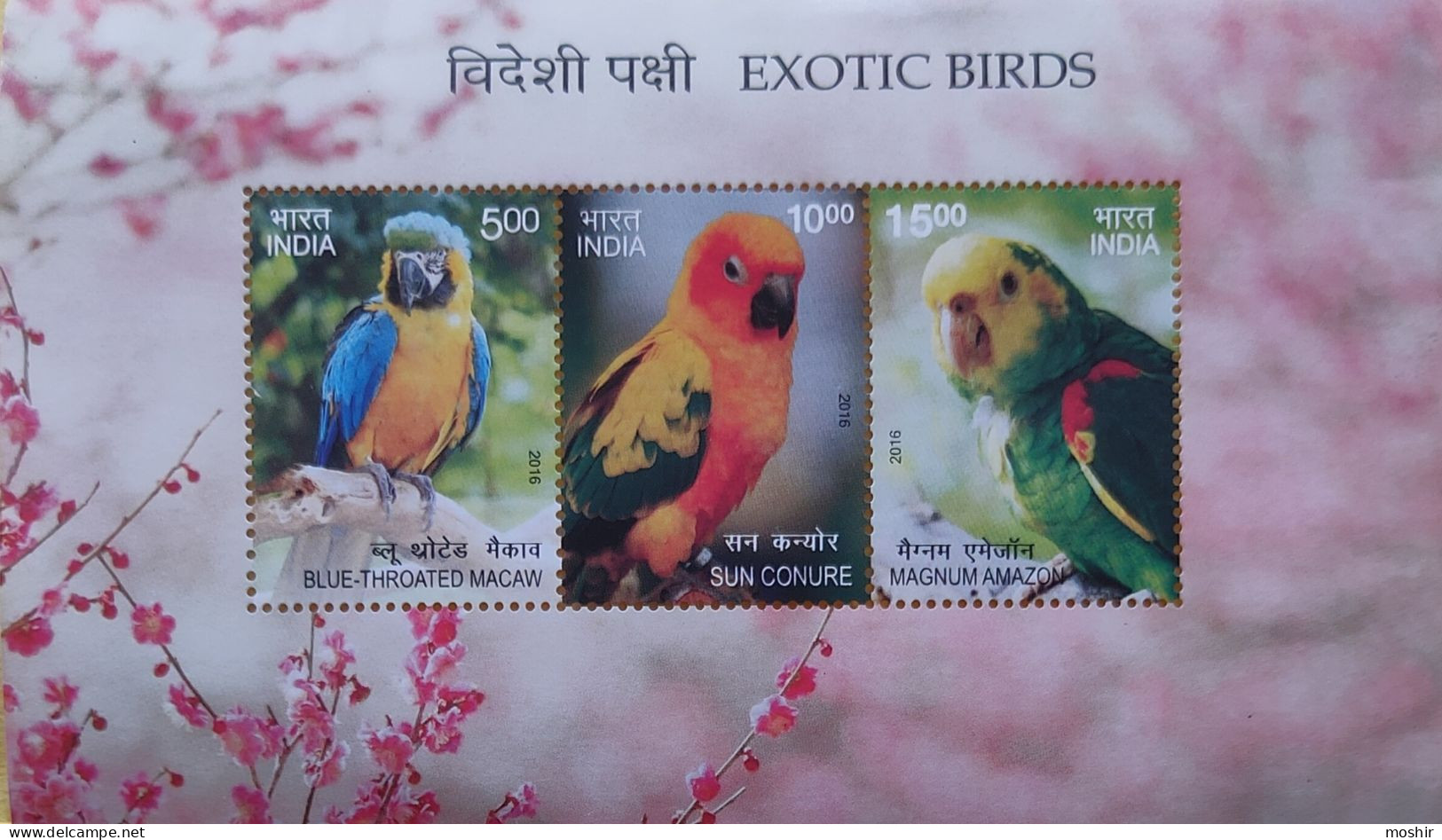 PARROTS - EXOTIC BIRDS - MACAW - BLUE THROATED MACAW - SUN CONURE - MAGNUM AMAZON -MINIATURE SHEET - INDIA - 2016 - - Perroquets & Tropicaux