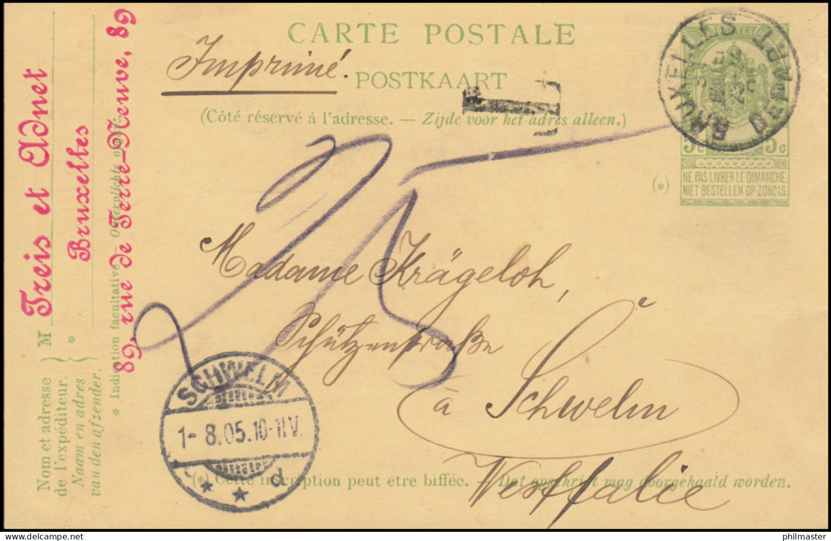 Belgien Postkarte P 44a Jubiläum Braun, BRÜSSEL/BRUXELLES 31.7.1905 Nach SCHWELM - Andere & Zonder Classificatie