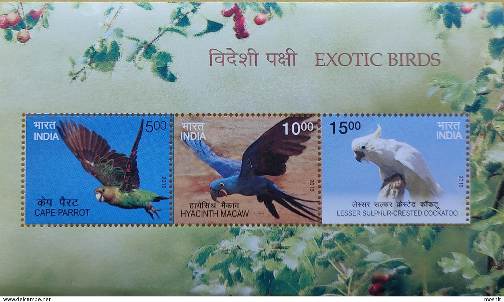 PARROTS - EXOTIC BIRDS - MACAW - CAPE PARROT - HYACINTH MACAW - LESSER SULPHUR-CRESTE  -MINIATURE SHEET - INDIA - 2016 - - Perroquets & Tropicaux