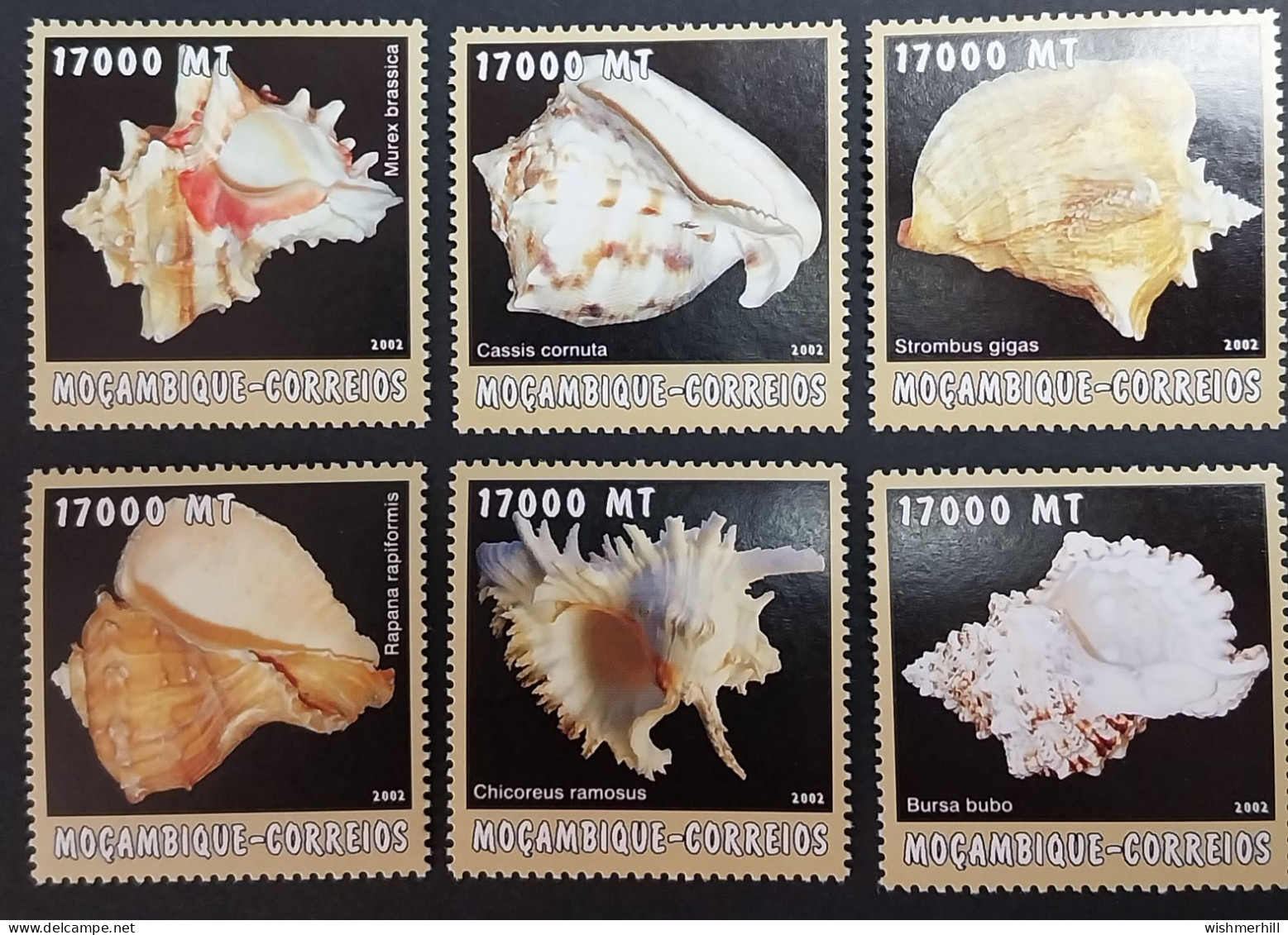 Coquillages Shells // Série Complète Neuve ** MNH ; Mozambique YT 2210/2215 (2002) Cote 18 € - Mozambique