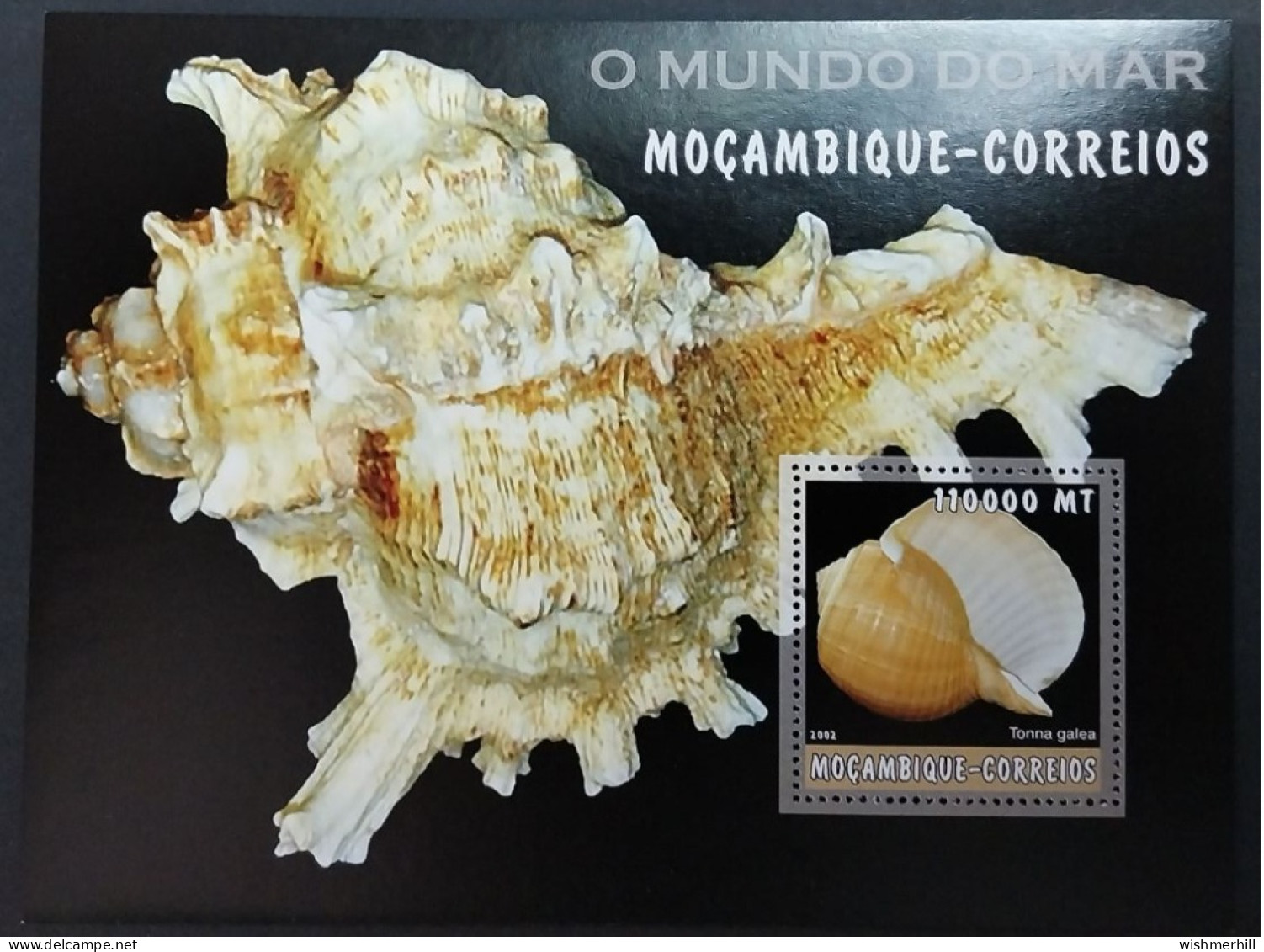 Coquillages Shells // Bloc Neuve ** MNH ; Mozambique BF 140 (2002) Cote 18 € - Mozambique