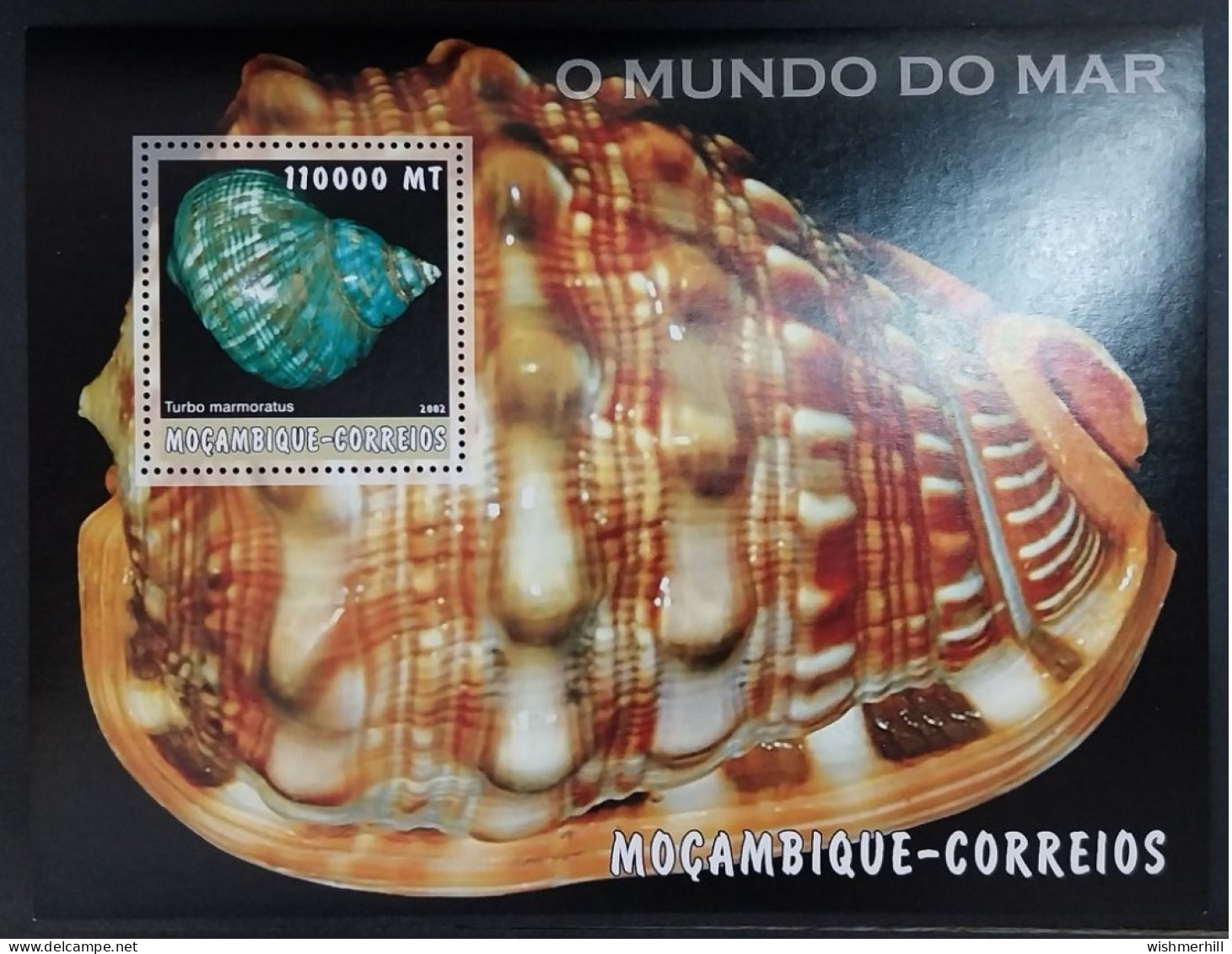 Coquillages Shells // Bloc Neuve ** MNH ; Mozambique BF 141 (2002) Cote 18 € - Mozambico