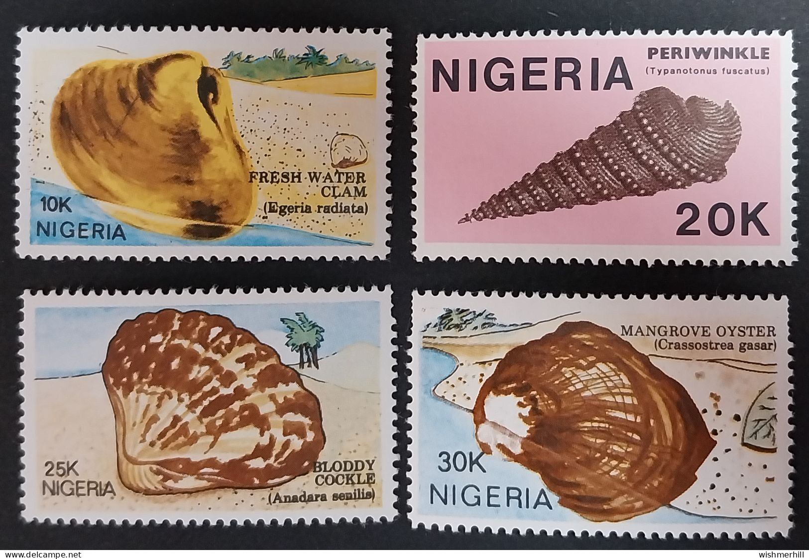 Coquillages Shells // Série Complète Neuve ** MNH ; Nigéria 505/508 (1987) Cote 10 € - Nigeria (1961-...)