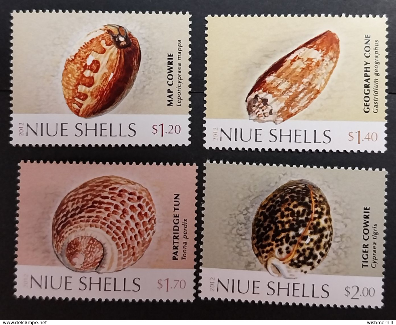 Coquillages Shells // Série Complète Neuve ** MNH ; Niue YT 940/943 (2012) Cote 16 € - Niue