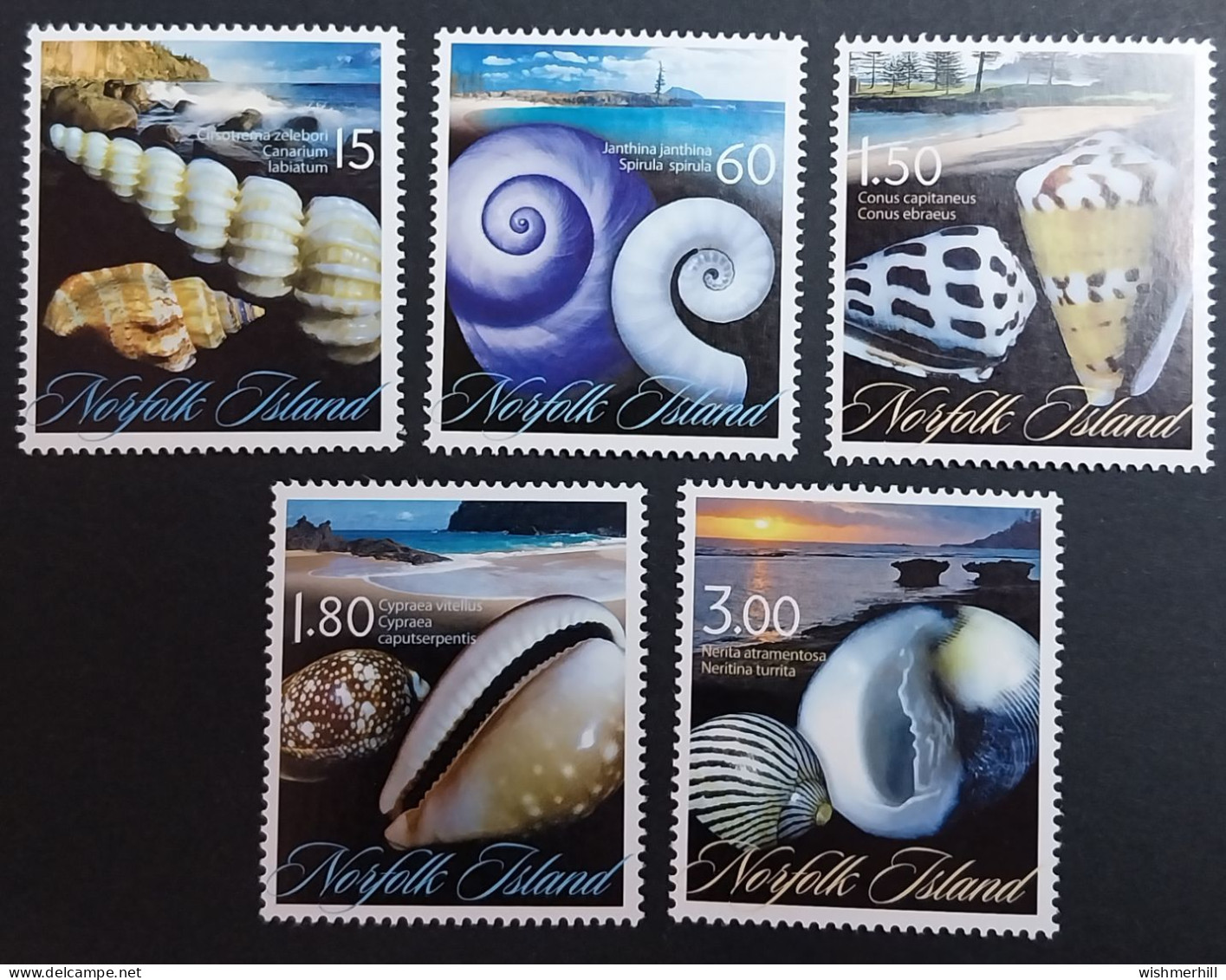 Coquillages Shells // Série Complète Neuve ** MNH ; Norfolk YT 1041/1045 (2011) Cote 19 € - Norfolk Island