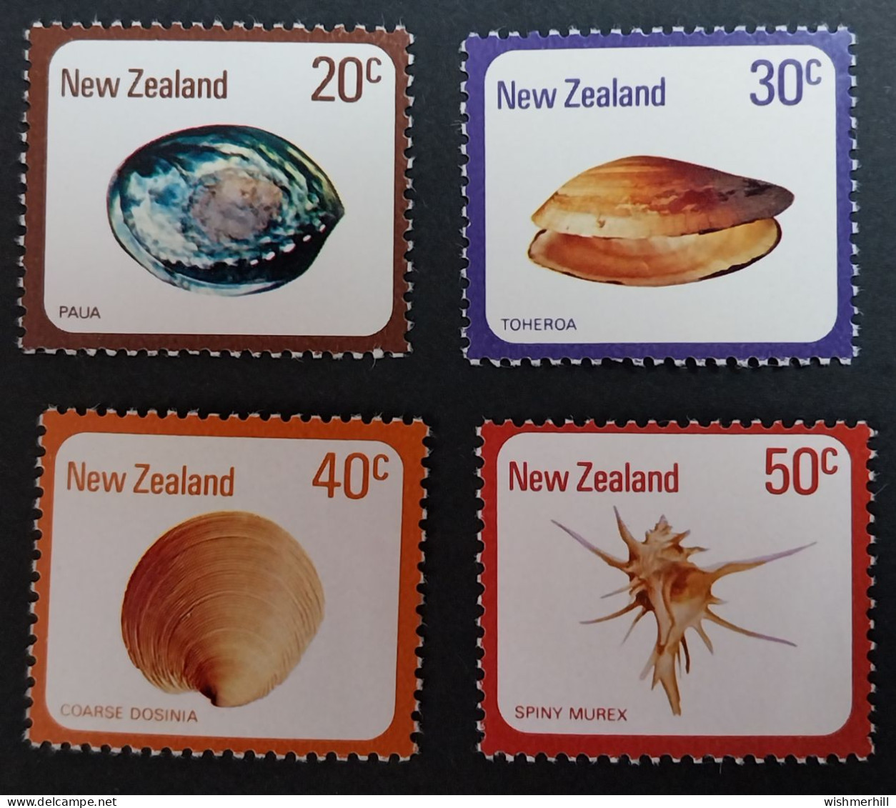 Coquillages Shells // Série Complète Neuve ** MNH ; Nouvelle-Zélande YT 730/733 (1978) Cote 3 € - Nuovi