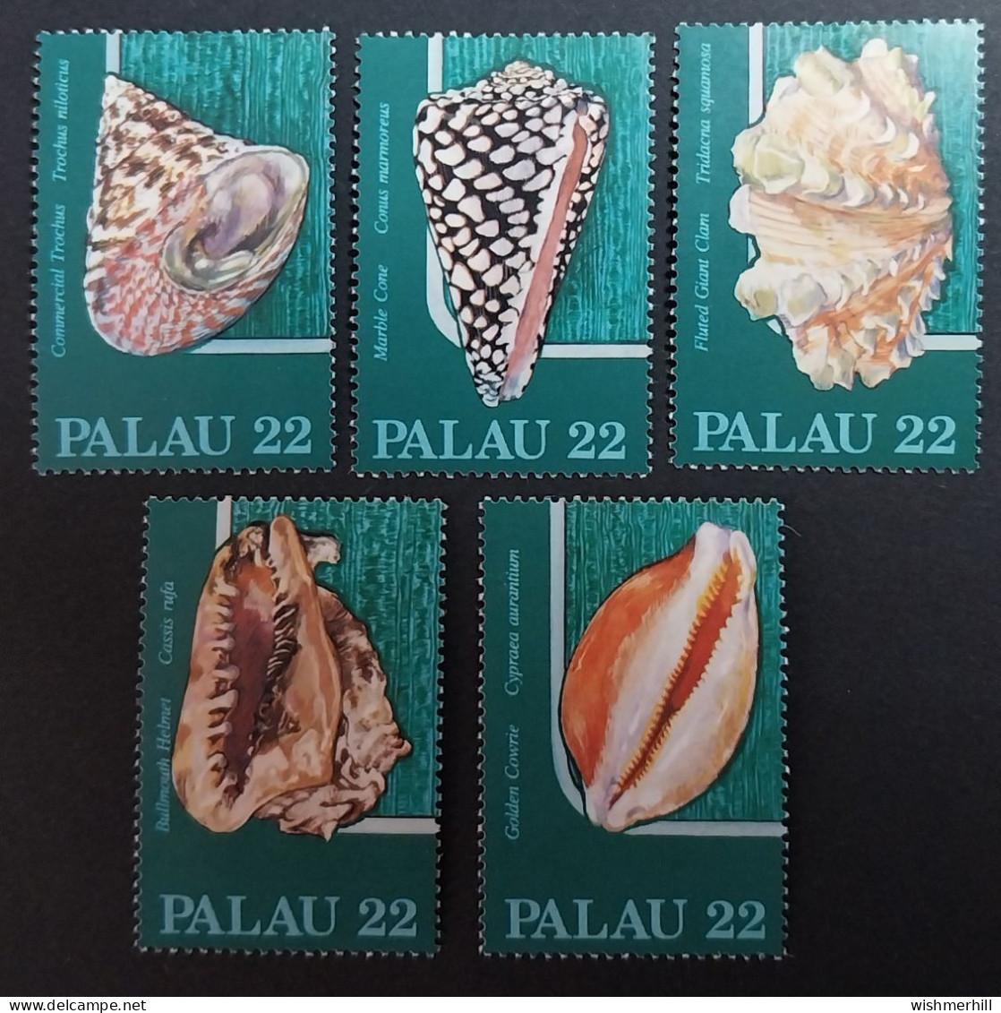 Coquillages Shells // Série Complète Neuve ** MNH ; Palau YT 132/136 (1986) Cote 4 € - Palau
